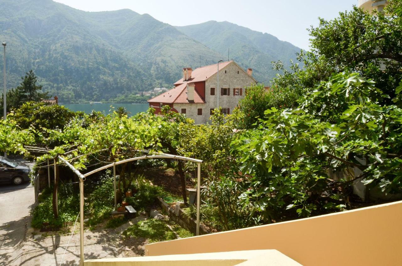 Apartments Nik Kotor Exterior photo
